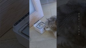 высокие технологии💪💪💪