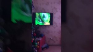 мишка гумми бер