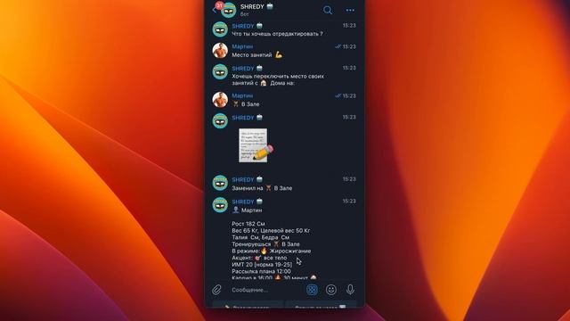 Shredy Bot - основной функционал смотреть онлайн