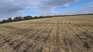 Сев озимого рапса в засуху по No-Till. Авантюра или оправданный риск?