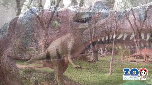 Ya están aquí... | Zoo Aquarium Madrid смотреть онлайн