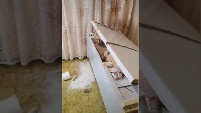 Фемка дрочит солевого мужа куколда смотреть онлайн