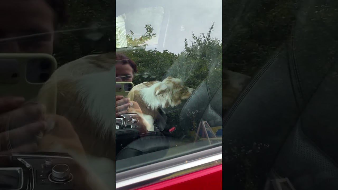 22 августа 2024 г. смотреть онлайн