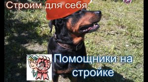 Помощники на стройке СТРОИМ ДЛЯ СЕБЯ