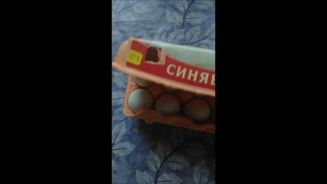 ЯЙЦО СИНЯВИНСКОЕ К ЗАВТРАКУ. ОБЗОР. смотреть онлайн