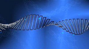 МАТРИЦА ГАРЯЕВА. ВОССТАНОВЛЕНИЕ БРОНХО-ЛЁГОЧНОЙ СИСТЕМЫ.