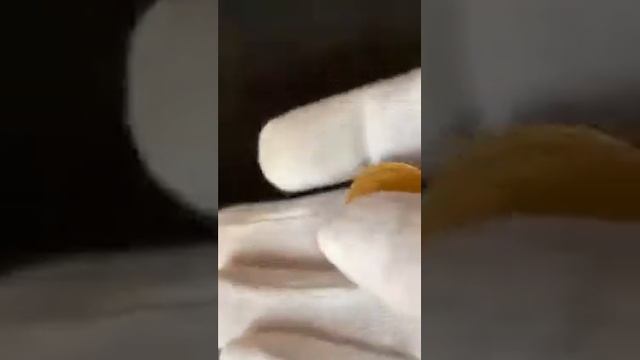 5 рублей 1851 СПБ АГ смотреть онлайн