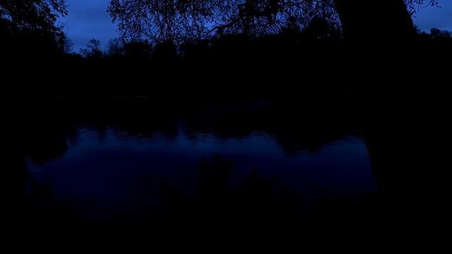 10 Часов ночное озеро в лесу, звуки сверчков, крепкий и глубокий сон, от бессонницы