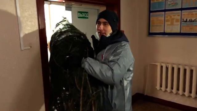 «Новогоднее чудо»: 21 елку получили социальные учреждения ЕАО смотреть онлайн