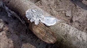 Алюминий - на костре.