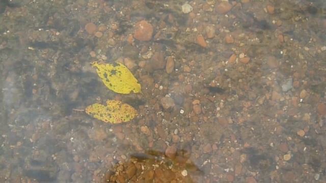 Дыхание осени смотреть онлайн