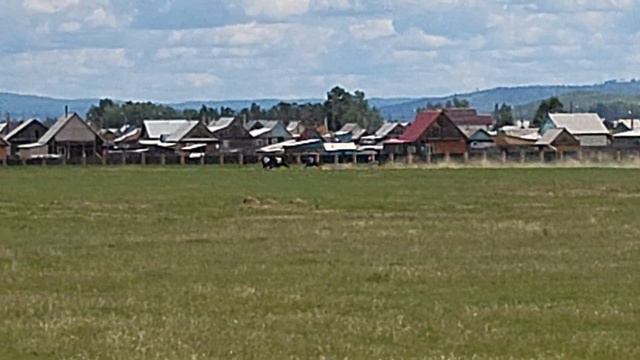 24.06.2022г. 1м Джахар. 2м Джеф. 3м Сочельник смотреть онлайн