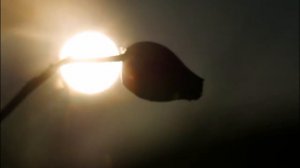 Вельвет -  Все забудется