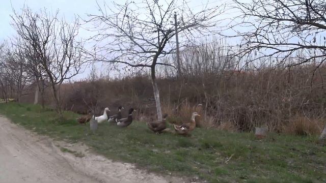 Правильные выходные. Если дома не сидится. Анапа. Гостагаевская