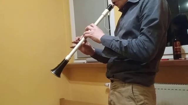 Zafun (Xafan) Kieszonkowy saksofon смотреть онлайн
