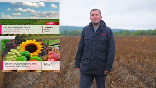 Технология возделывания картофеля DuPont. 5 серия