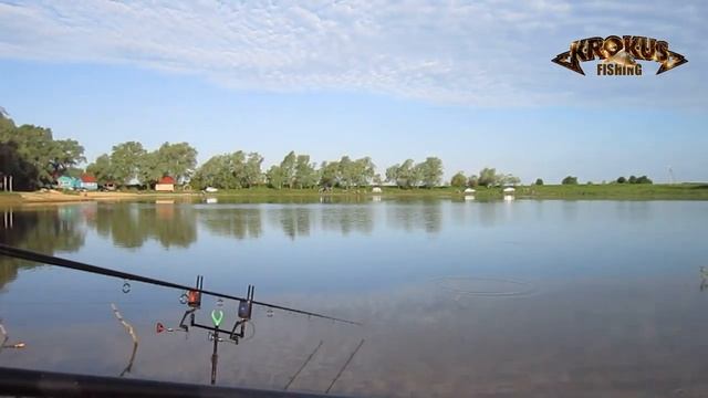 Флет фидер и карповые удилища. Бойлы против кукурузы и гороха смотреть онлайн