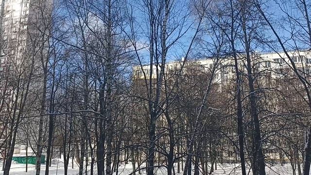 VID_20230310_103800.mp4 смотреть онлайн