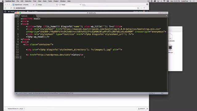 Hosting WordPress on Digital Ocean, Part 6: Bugs & Gotchas смотреть онлайн