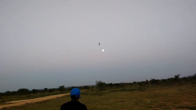 60" Constant Chord KFm 2 Flying Wing Glider_ Dec 24 2015 смотреть онлайн