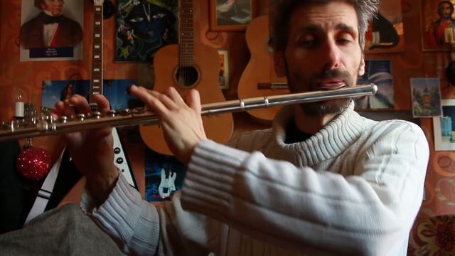 The Beatles - Michelle, flute study cover смотреть онлайн