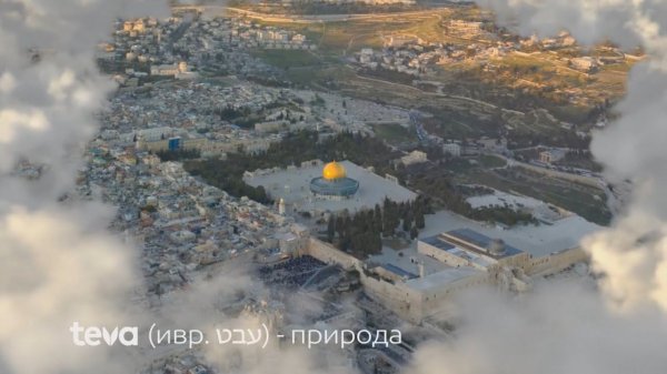 SHOWREEL 2018. Студия Эльф.