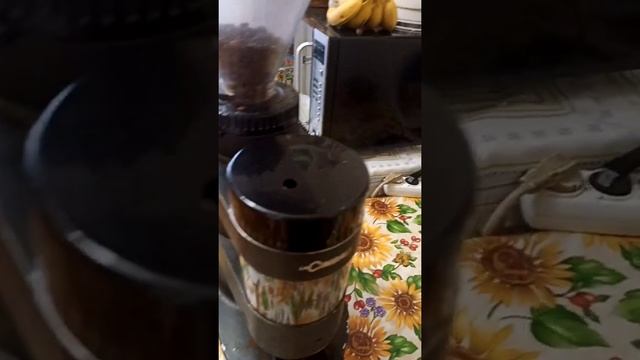 Профисиональная кофемолка Италия смотреть онлайн