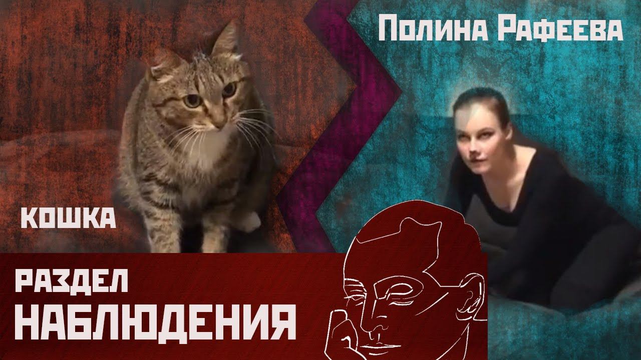 Полина Рафеева - Кошка смотреть онлайн