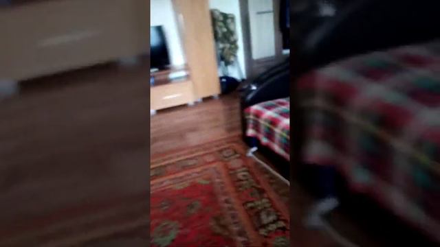 КАК ВЫГЛЯДИТ ФНАФ)ХОРРОР ИГРА смотреть онлайн
