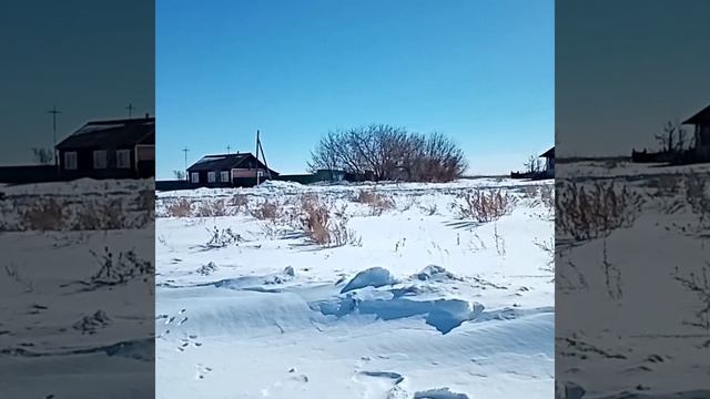 Покатушки на мотособаке в деревне Вишнёвка и электросамокате? в ЦПКиО?? в Кургане #Курган#мотособак