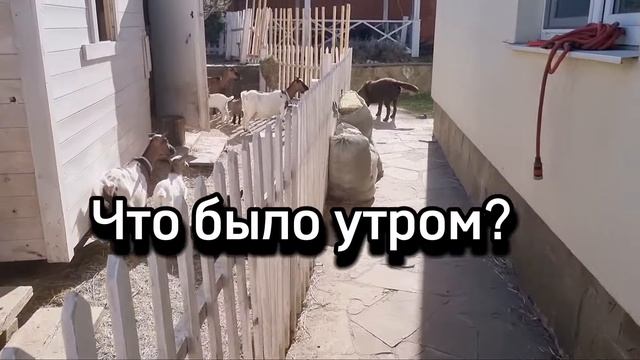 Типичный Алиэкспресс.