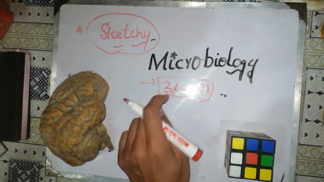 Sketchy Microbiology, Sketchy Microbiology Videos. SPECIAL ANNOUNCEMENT...🌹🚥INSHAALLAH Will Try.