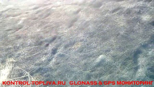 Глупая идея почистить участок огнем от сухостоя ВНИМАНИЕ НЕ ПОВТОРЯЙТЕ!!! смотреть онлайн