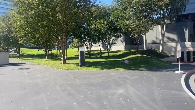 Уехала в Momcation в город Коста Меса. Концерты, шоппинг, Калифорния перед Рождеством.