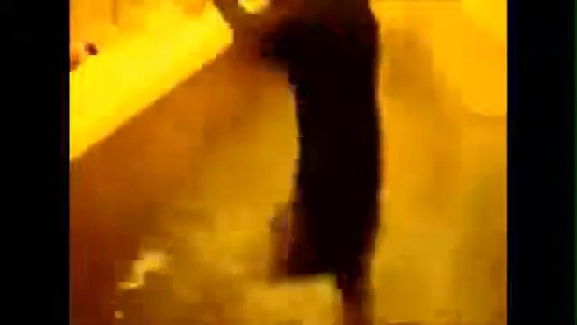 Прикольное купание животных смотреть онлайн