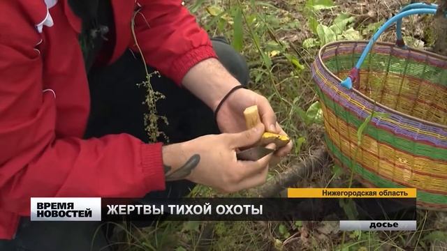 Отравление грибами - опасный сезон