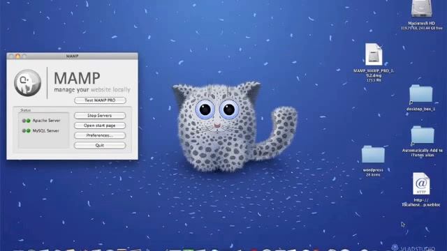 Installing WordPress Locally on Your Mac With MAMP смотреть онлайн
