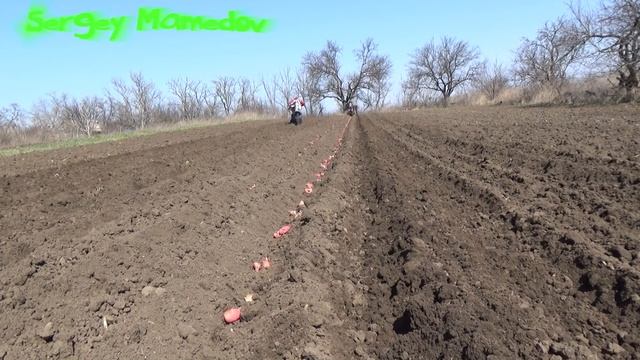 ➤ПОСАДКА КАРТОФЕЛЯ 2018 смотреть онлайн