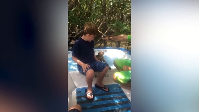 THE BEST CUTE AND FUNNY ANIMAL VIDEOS OF 2019! смотреть онлайн