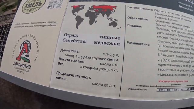 Калининград - Зоопарк, Остров Канта. Часть 2. смотреть онлайн