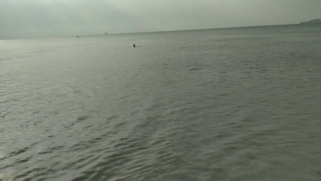 какое море после всех дождей и потопов нас ждало утром в Феодосии смотреть онлайн