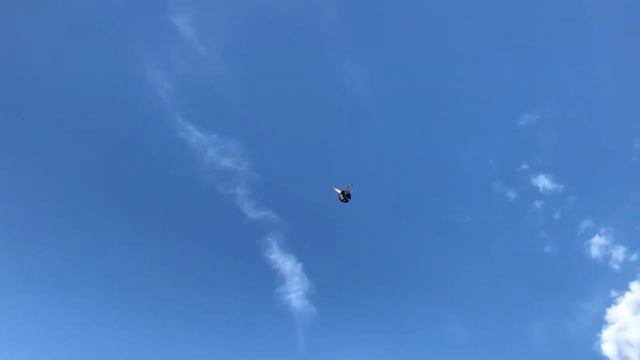 Николаевские голуби смотреть онлайн