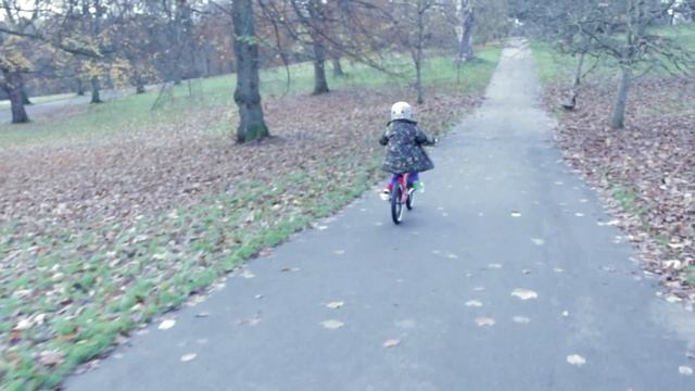 WeThePeople 'Seed' 16 Inch Kids BMX Bike смотреть онлайн
