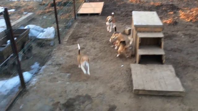 Тусовка) смотреть онлайн