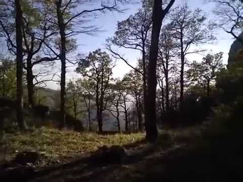 Индюк и Индюшка 31.10-01.11.15 смотреть онлайн