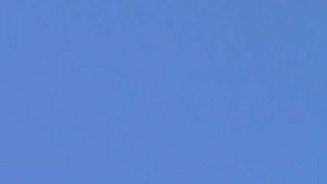 Пермские голуби в полете смотреть онлайн