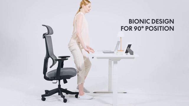 Introducing FlexiSpot BS8 Office Chair