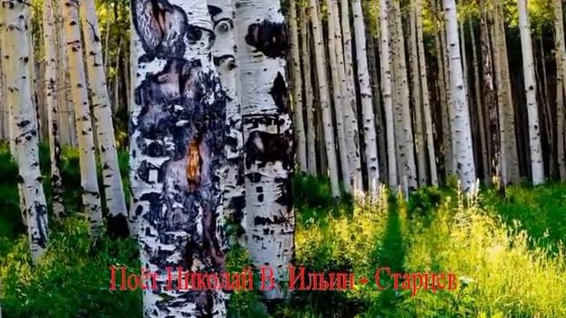 С. ЕСЕНИН "ОТГОВОРИЛА РОЩА ЗОЛОТАЯ" смотреть онлайн