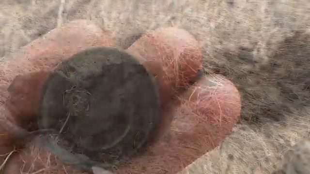 Отлично покопали, нашли монеты и старинные вещи. Искатели монет и кладов. смотреть онлайн