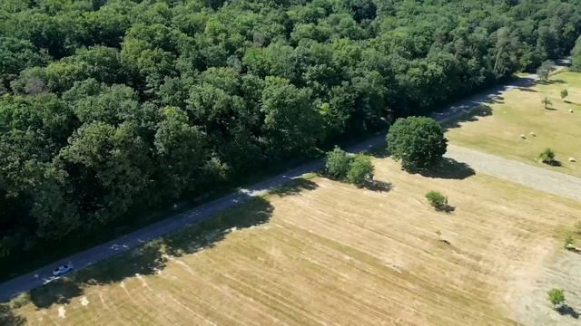 PORSCHE 911 SPORT CLASSIC : Rugissement et boîte manuelle, COMME ON EN FERA PLUS ! смотреть онлайн